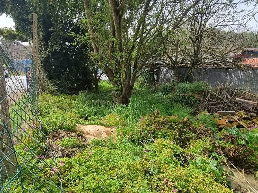 Immagine 9 di Locale commerciale in vendita  a Fauglia