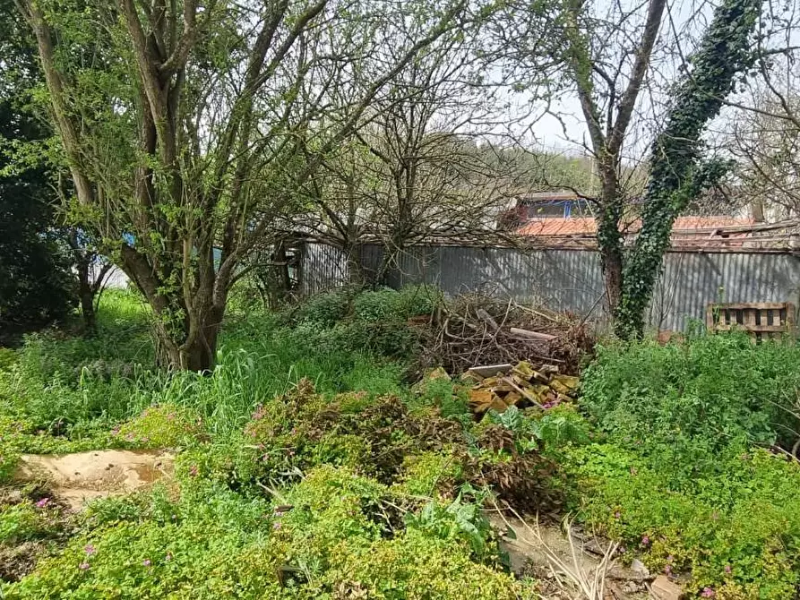 Immagine 4 di Locale commerciale in vendita  a Fauglia