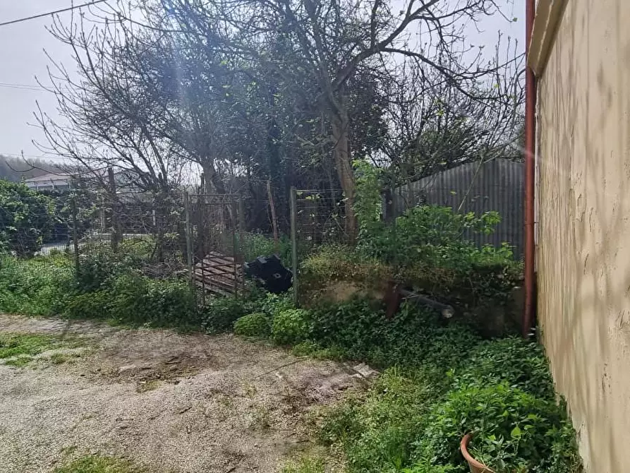 Immagine 16 di Locale commerciale in vendita  a Fauglia