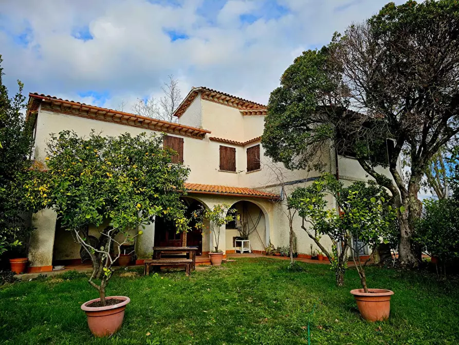 Immagine 1 di Casa colonica in vendita  a Crespina Lorenzana