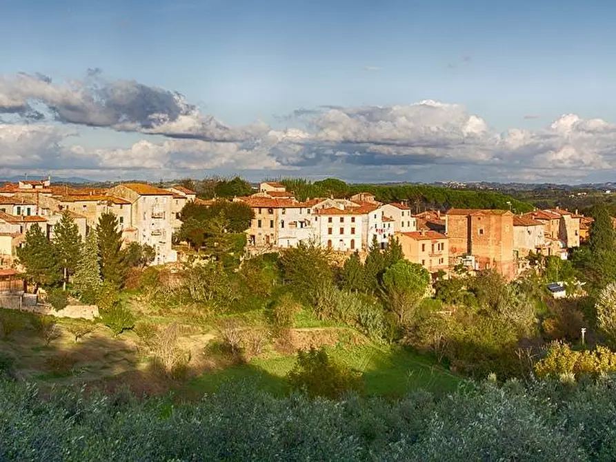 Immagine 4 di Villa in vendita  a Casciana Terme Lari