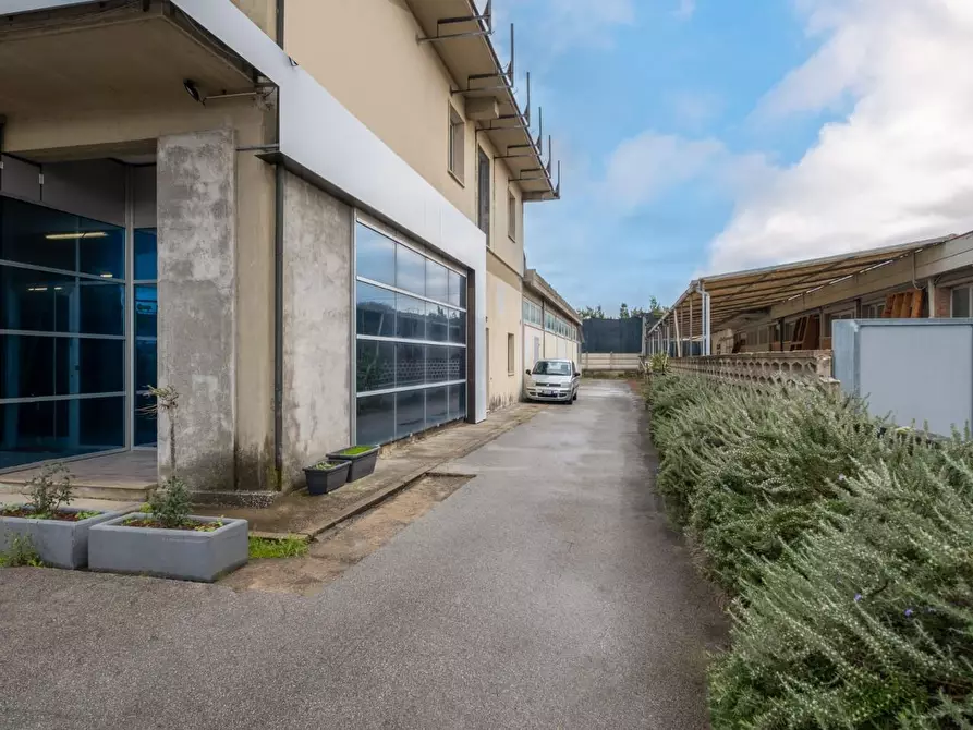 Immagine 12 di Attività artigianale in vendita  a Bientina