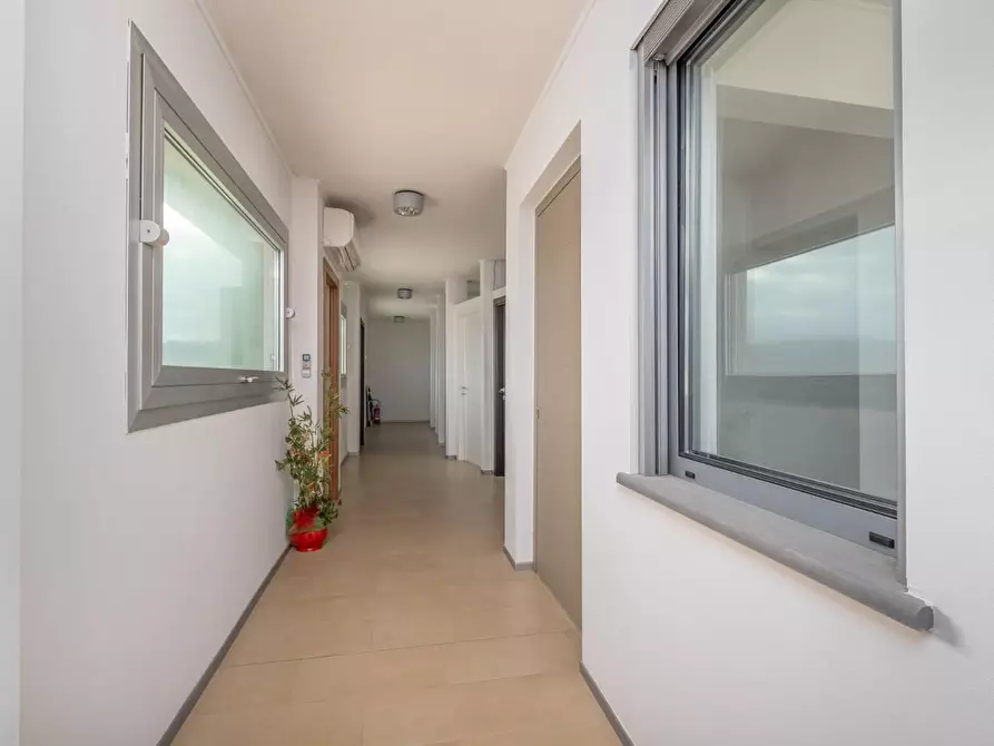 Immagine 18 di Attività artigianale in vendita  a Bientina