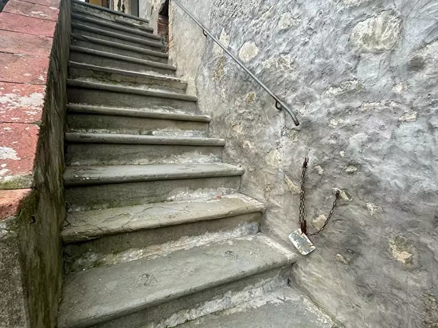 Immagine 28 di Rustico / casale in vendita  a Capannori