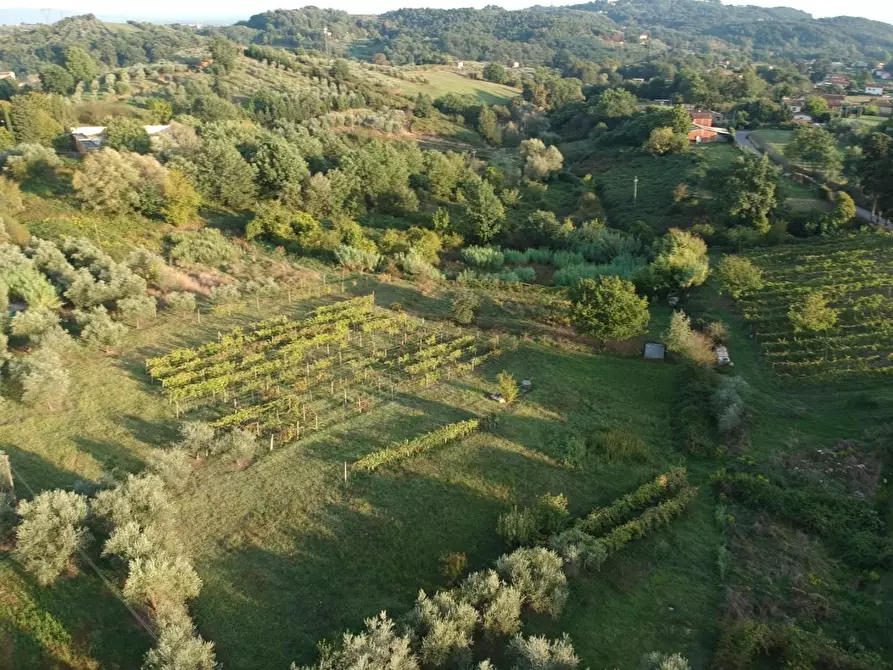 Immagine 45 di Rustico / casale in vendita  a Capannori
