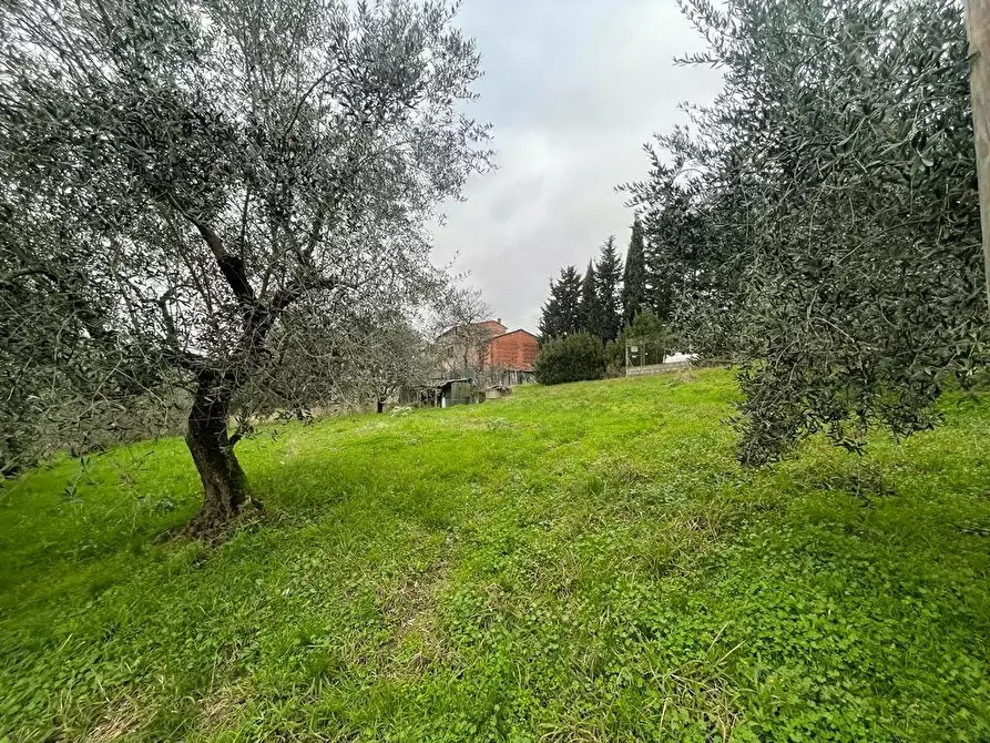 Immagine 26 di Rustico / casale in vendita  a Capannori