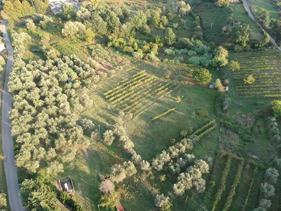 Immagine 36 di Rustico / casale in vendita  a Capannori