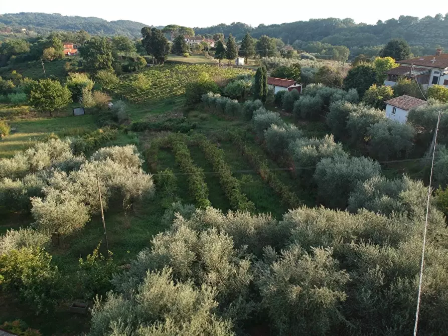 Immagine 48 di Rustico / casale in vendita  a Capannori