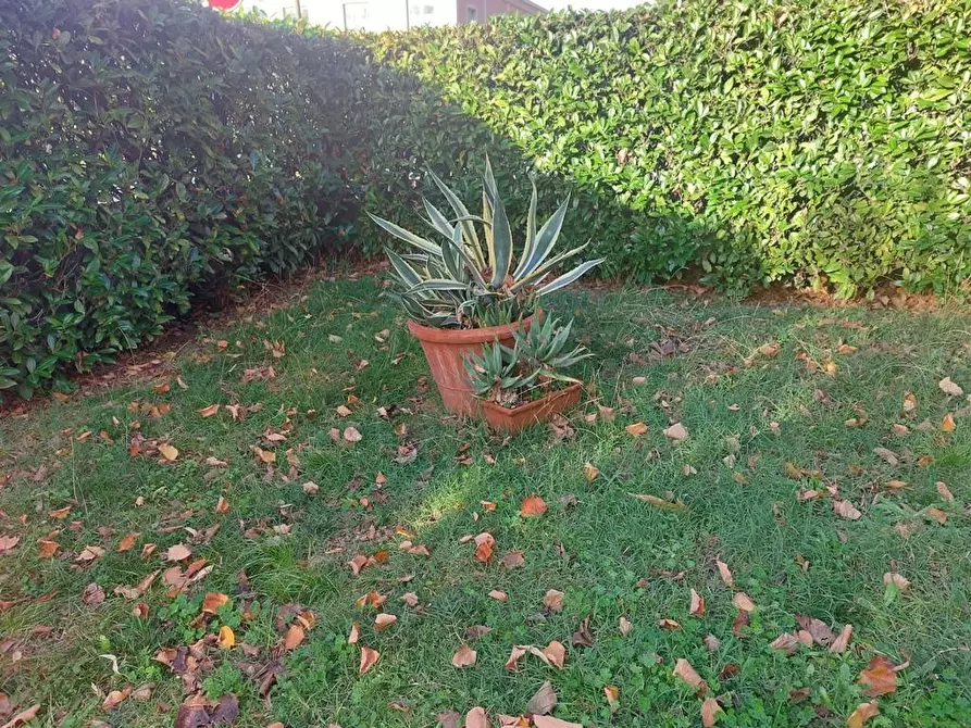 Immagine 6 di Appartamento in vendita  a Borgo A Mozzano