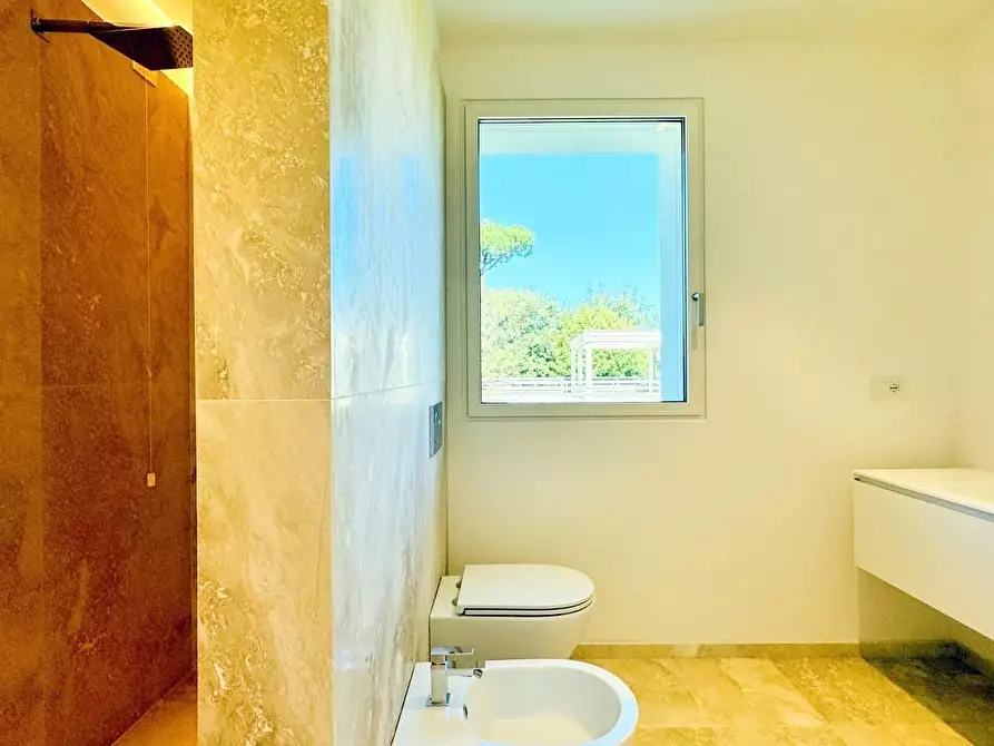 Immagine 38 di Villa in vendita  a Pietrasanta