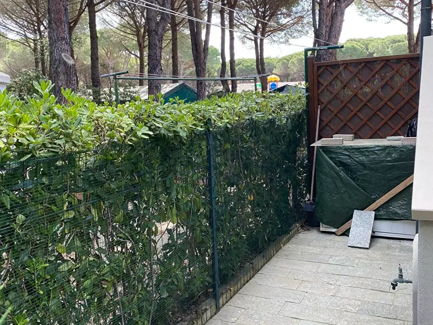 Immagine 23 di Appartamento in vendita  a Bibbona