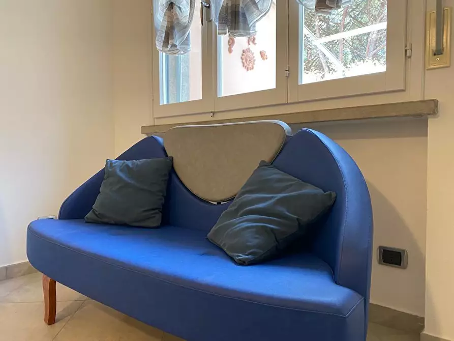 Immagine 6 di Appartamento in vendita  a Bibbona