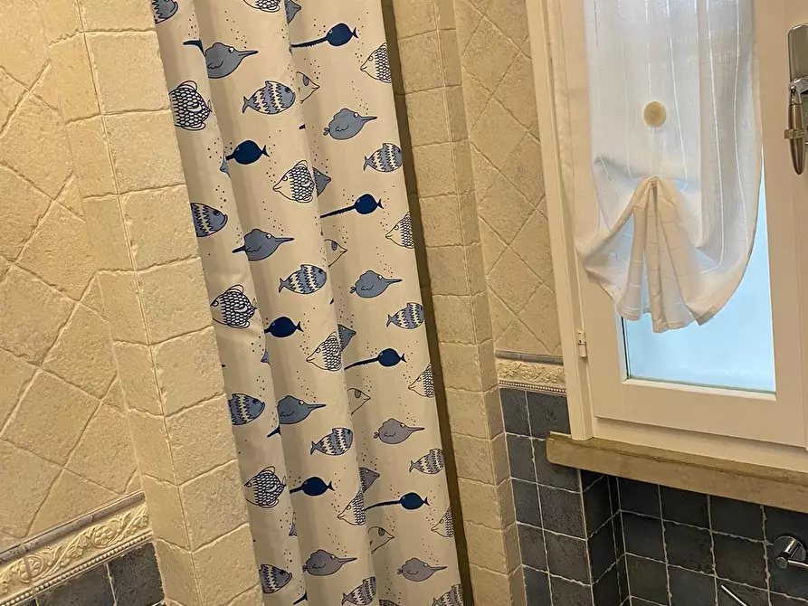 Immagine 21 di Appartamento in vendita  a Bibbona