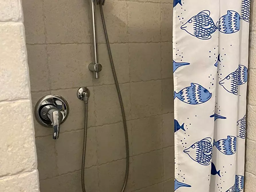 Immagine 22 di Appartamento in vendita  a Bibbona