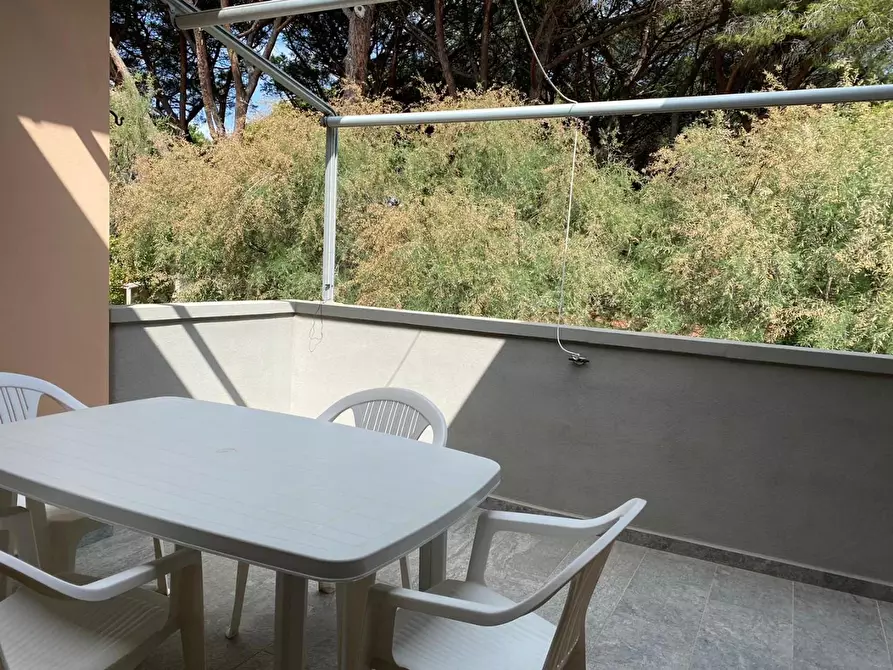 Immagine 26 di Appartamento in vendita  a Bibbona