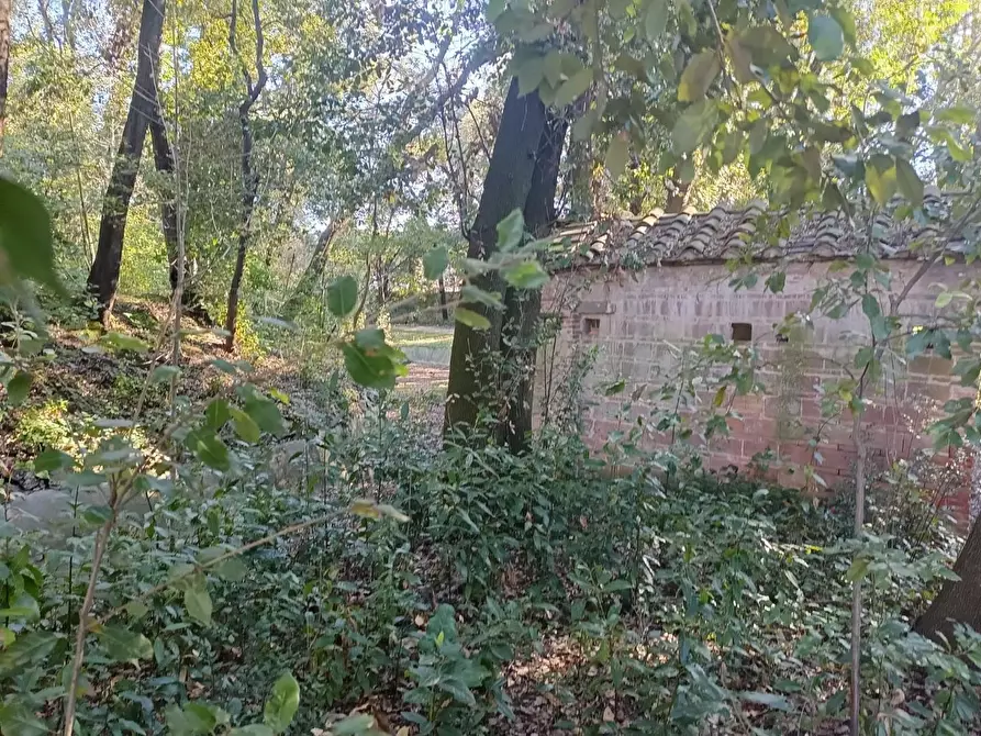 Immagine 25 di Immobile di prestigio in vendita  a Pisa