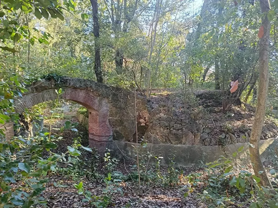 Immagine 42 di Immobile di prestigio in vendita  a Pisa