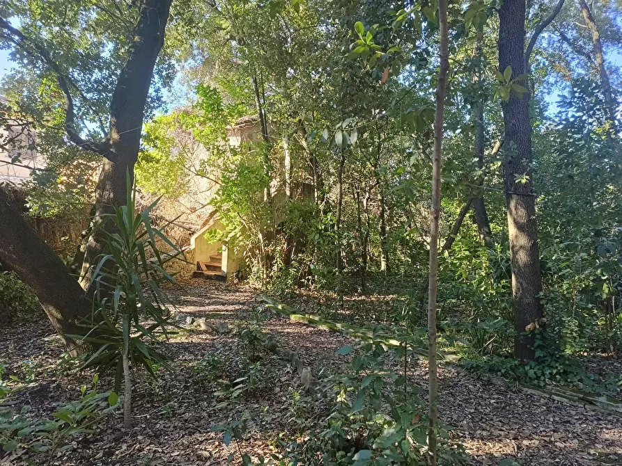 Immagine 22 di Immobile di prestigio in vendita  a Pisa