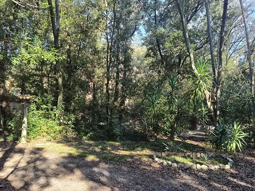 Immagine 43 di Immobile di prestigio in vendita  a Pisa