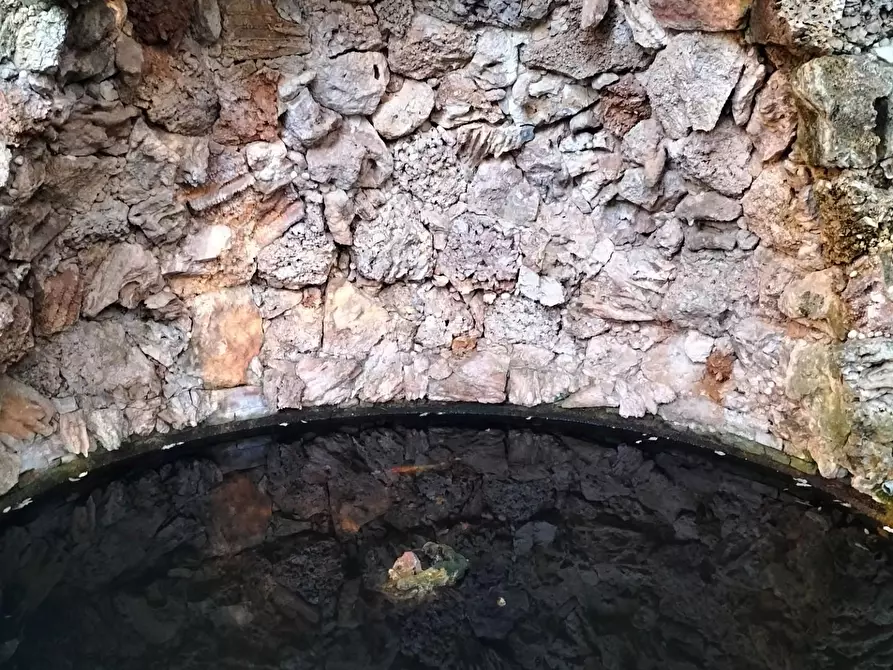 Immagine 11 di Immobile di prestigio in vendita  a Pisa