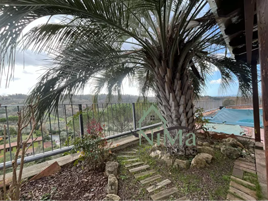 Immagine 24 di Villetta a schiera in vendita  a Montescudaio