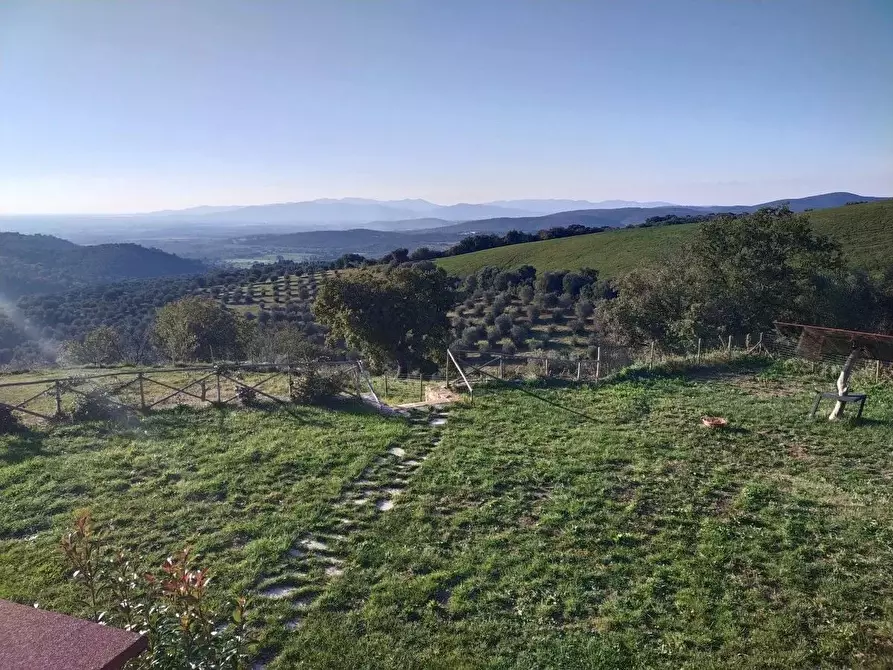 Immagine 2 di Terreno agricolo in vendita  a Campagnatico