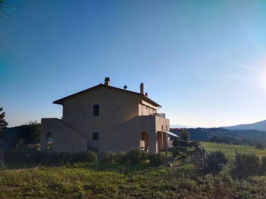Immagine 4 di Terreno agricolo in vendita  a Campagnatico