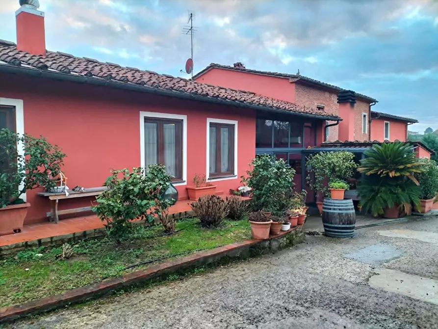 Immagine 7 di Azienda agricola in vendita  a Montecarlo