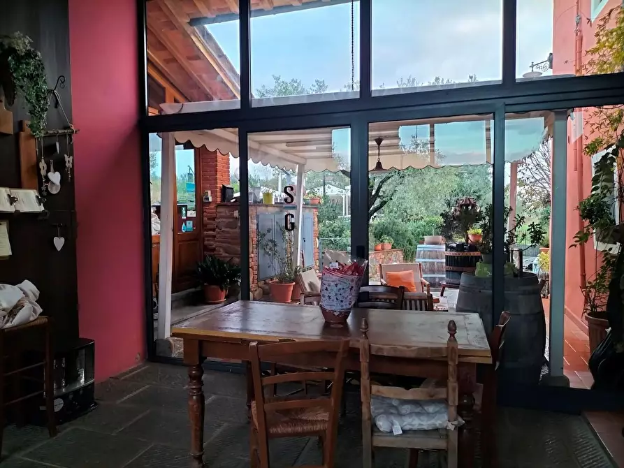 Immagine 4 di Azienda agricola in vendita  a Montecarlo