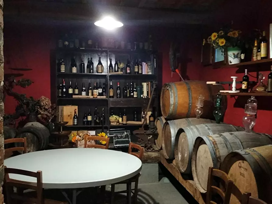 Immagine 5 di Azienda agricola in vendita  a Montecarlo