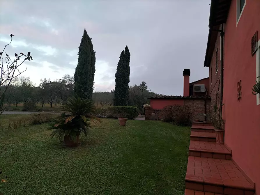 Immagine 14 di Azienda agricola in vendita  a Montecarlo