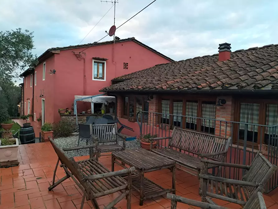 Immagine 19 di Azienda agricola in vendita  a Montecarlo