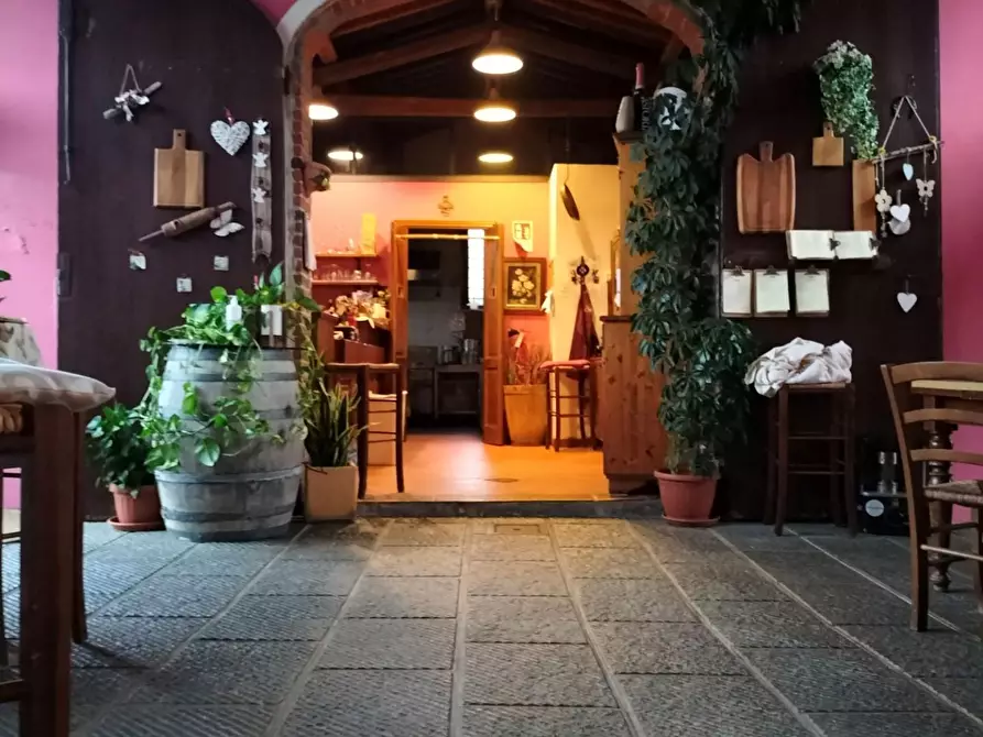 Immagine 6 di Azienda agricola in vendita  a Montecarlo