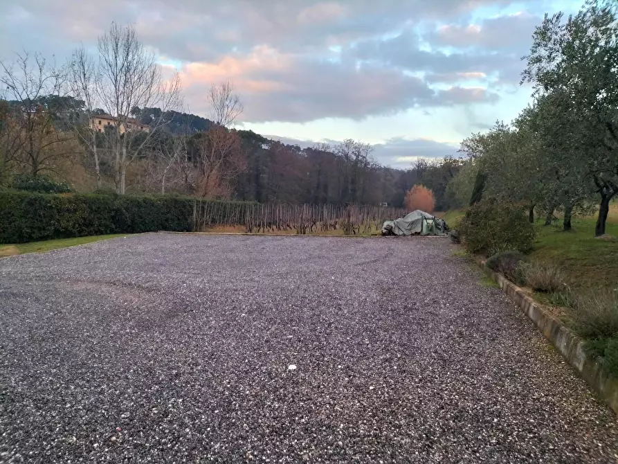 Immagine 10 di Azienda agricola in vendita  a Montecarlo