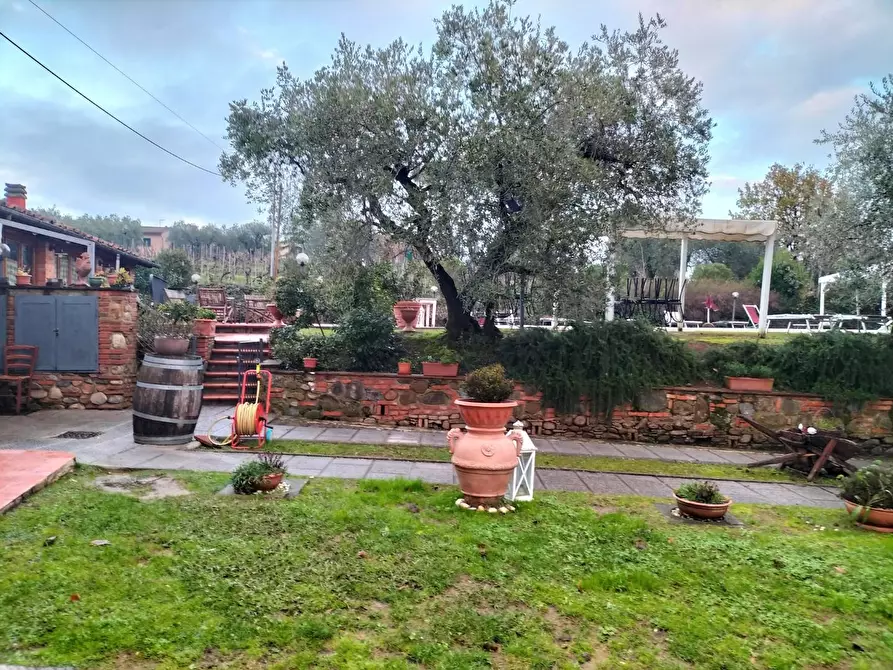 Immagine 17 di Azienda agricola in vendita  a Montecarlo