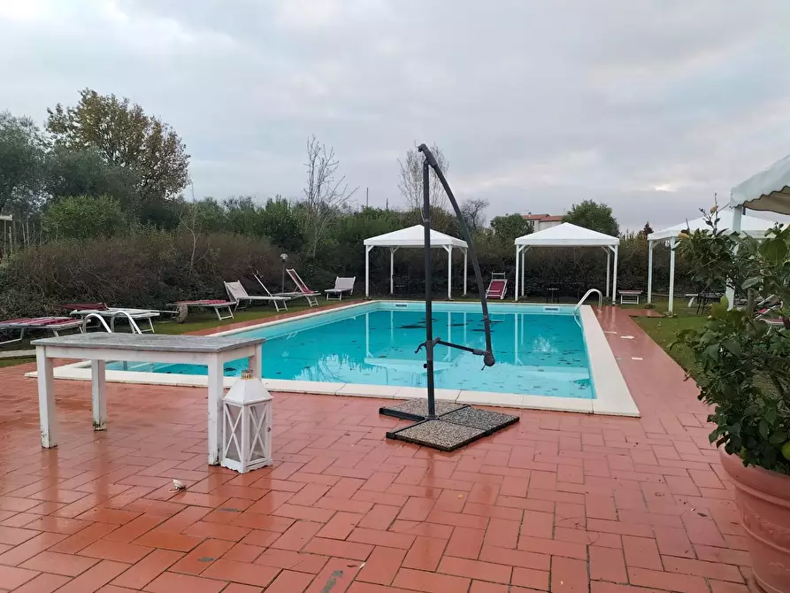 Immagine 18 di Azienda agricola in vendita  a Montecarlo