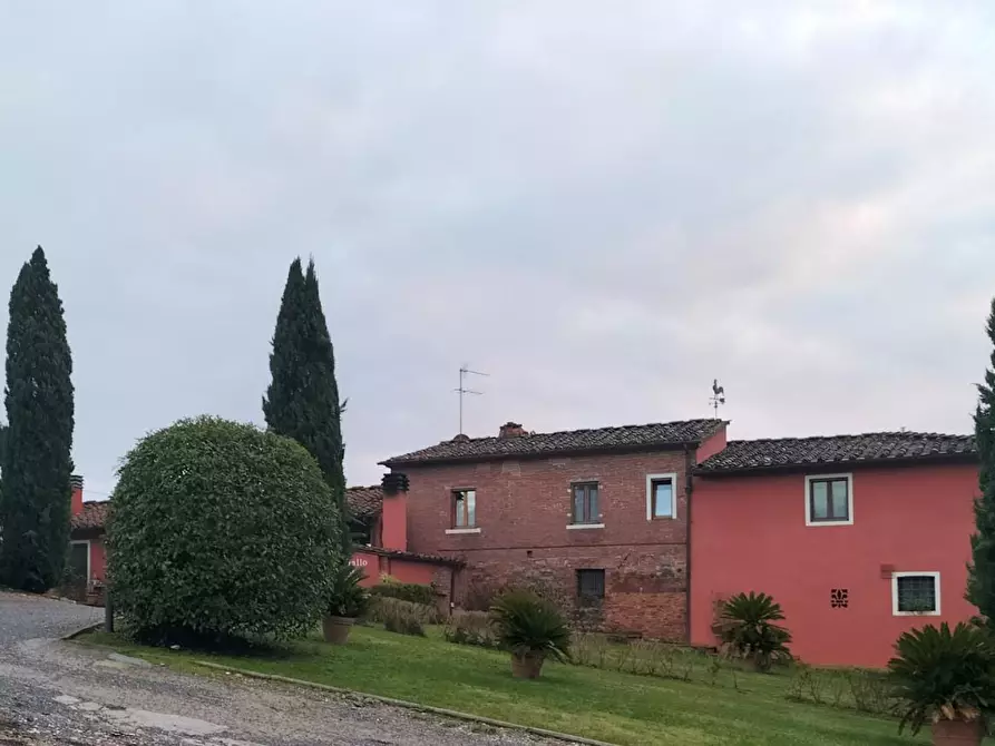 Immagine 3 di Azienda agricola in vendita  a Montecarlo