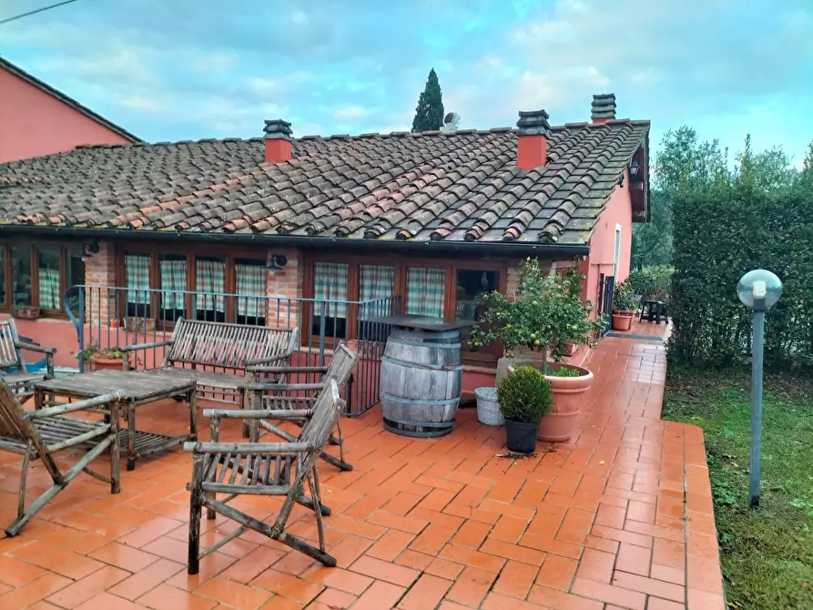 Immagine 20 di Azienda agricola in vendita  a Montecarlo