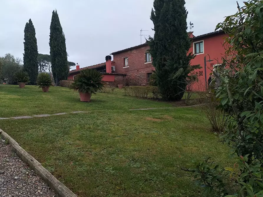 Immagine 2 di Azienda agricola in vendita  a Montecarlo