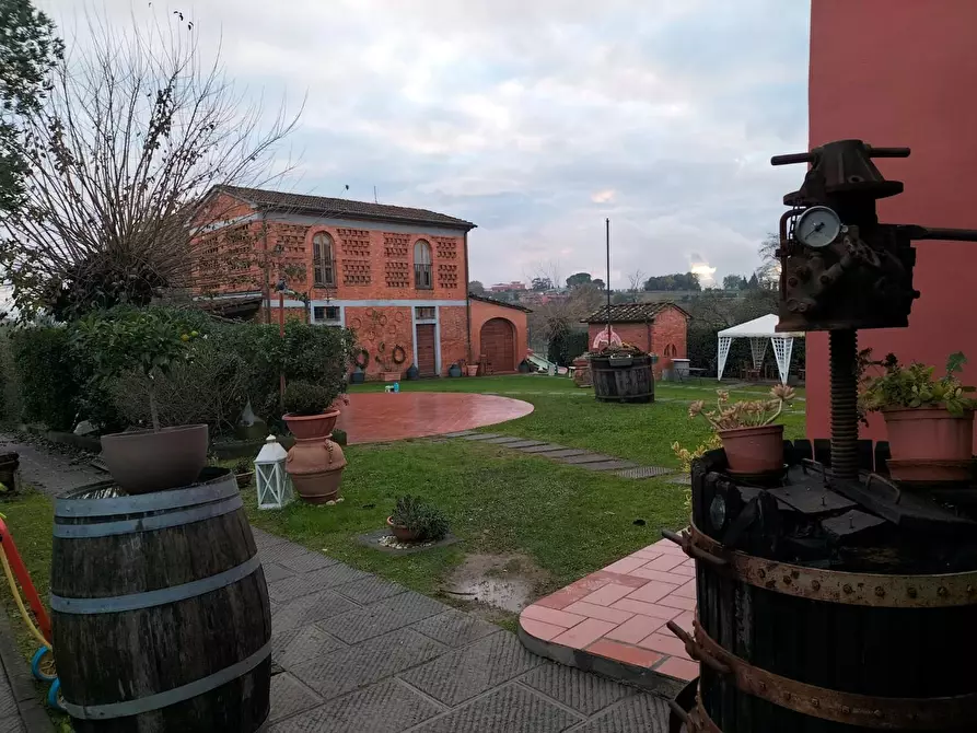 Immagine 8 di Azienda agricola in vendita  a Montecarlo