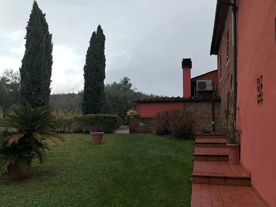 Immagine 13 di Azienda agricola in vendita  a Montecarlo