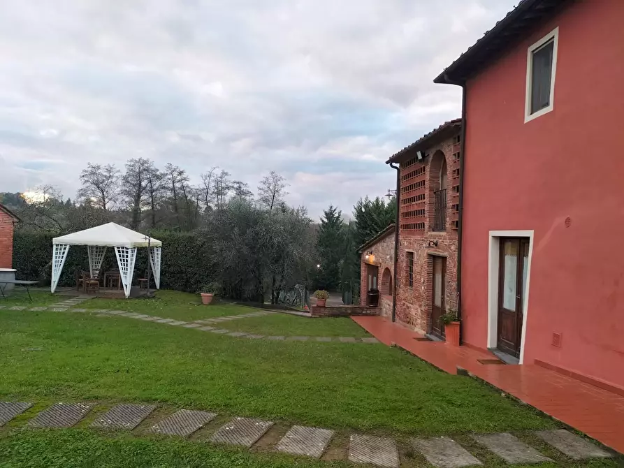 Immagine 16 di Azienda agricola in vendita  a Montecarlo