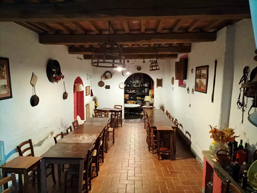 Immagine 11 di Azienda agricola in vendita  a Montecarlo