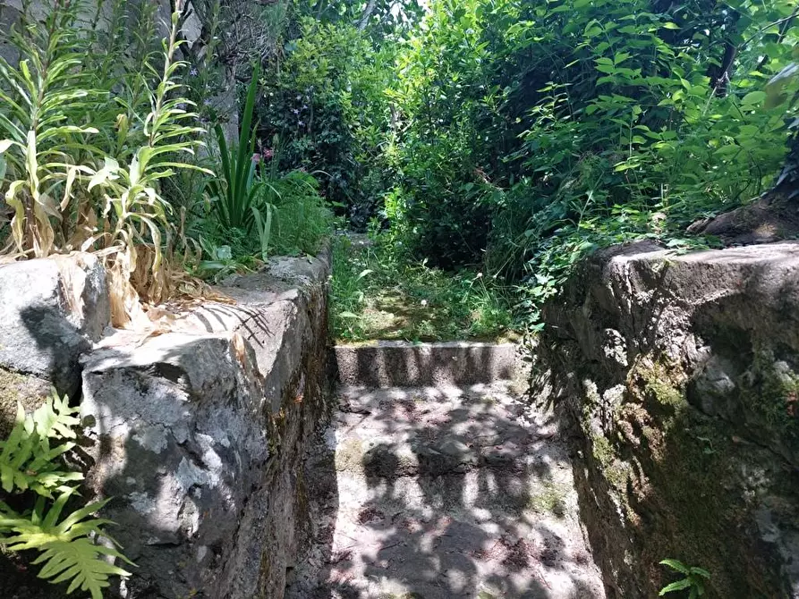 Immagine 22 di Terratetto in vendita  a Bagni Di Lucca