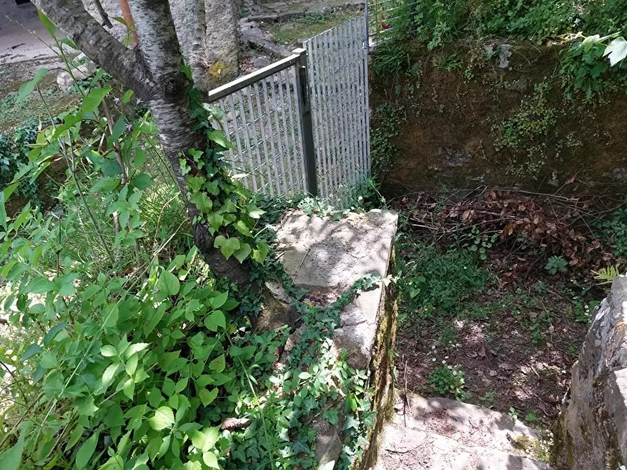 Immagine 20 di Terratetto in vendita  a Bagni Di Lucca