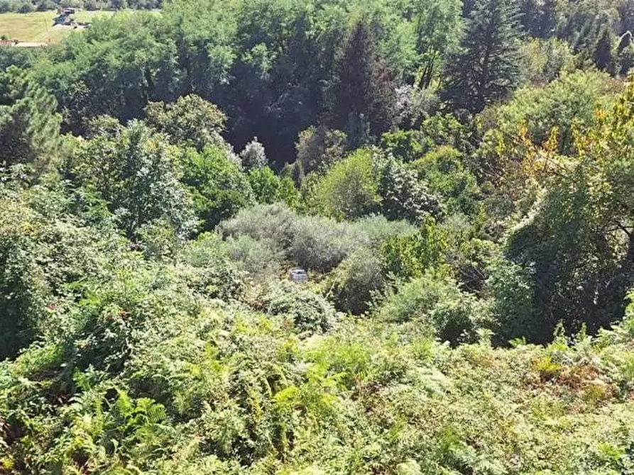 Immagine 13 di Terratetto in vendita  a Pescaglia