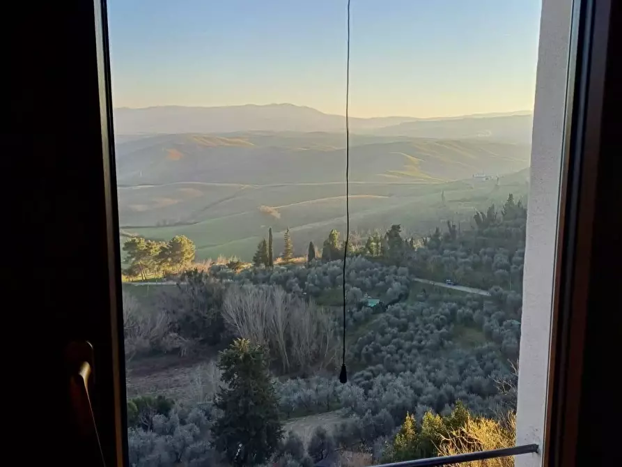 Immagine 38 di Terratetto in affitto  a Terricciola