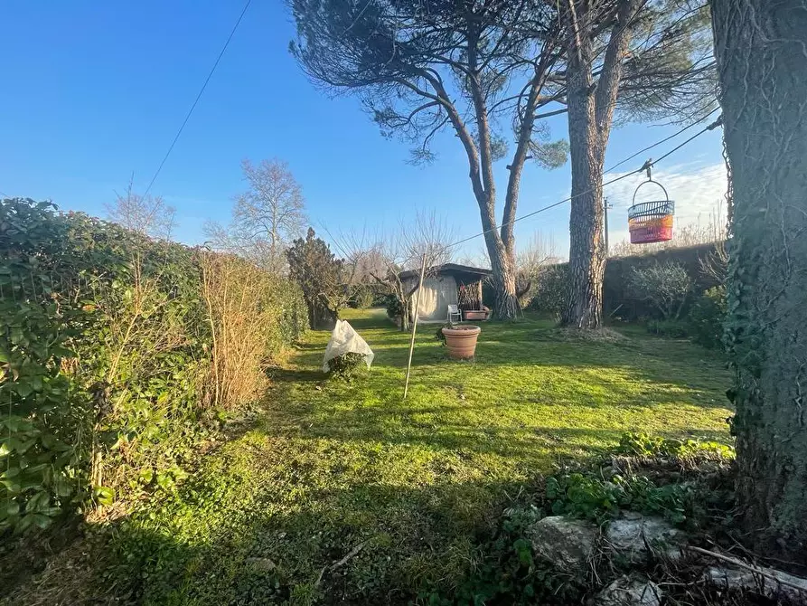 Immagine 3 di Casa indipendente in vendita  a Porcari