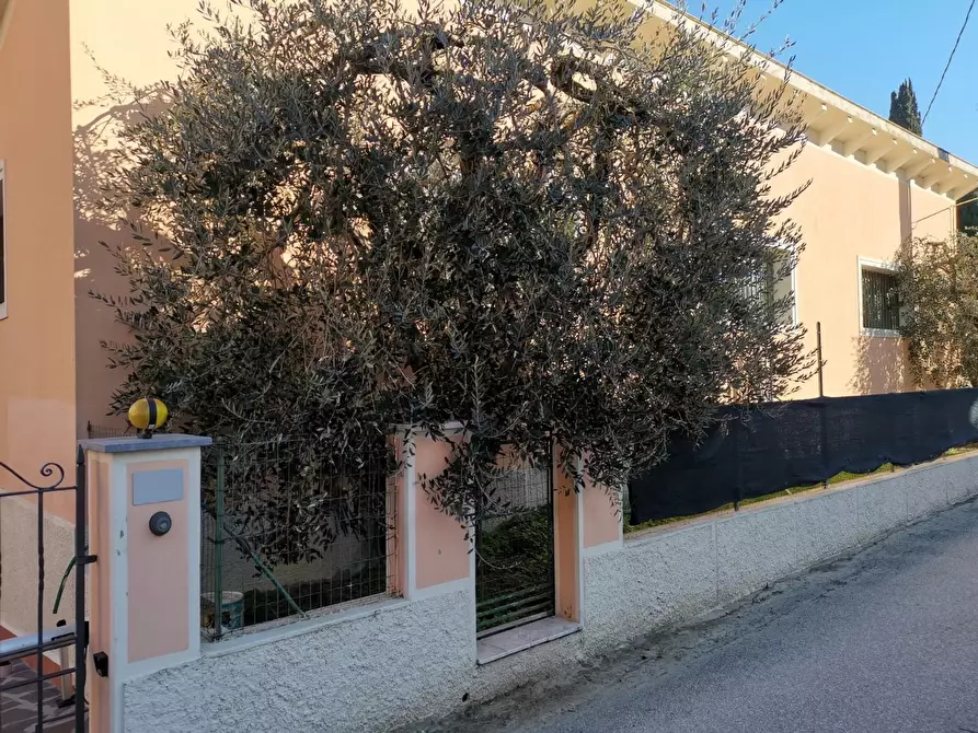 Immagine 2 di Appartamento in vendita  a San Miniato