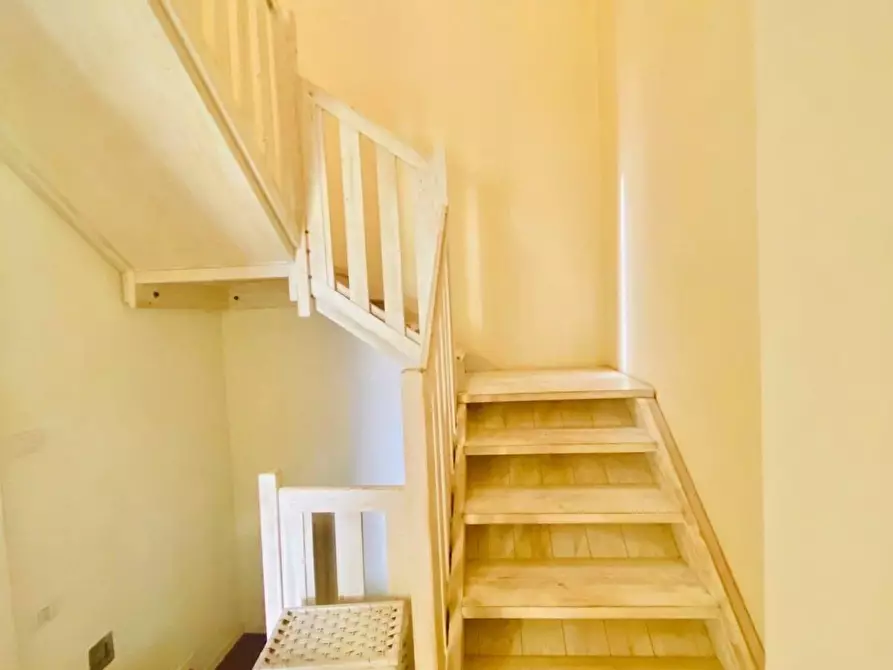 Immagine 12 di Villa in affitto  a Forte Dei Marmi